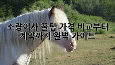 소량이사 꿀팁🍯 가격 비교부터 계약까지 완벽 가이드
