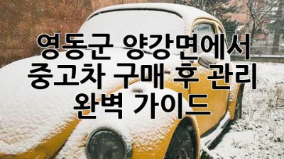 영동군 양강면에서 중고차 구매 후 관리, 완벽 가이드!